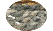 Load image into Gallery viewer, Twinkle Toes