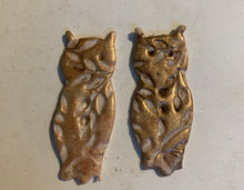 Load image into Gallery viewer, Copper Owl Button
